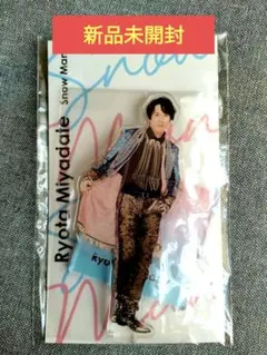 2026年最新】アクスタfest 宮舘涼太の人気アイテム - メルカリ