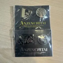 安全地帯　2017年　35周年記念ツアー　ピンバッジセット