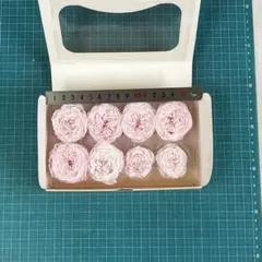 ナナマカロンローズのピンクベリー？ - メルカリ