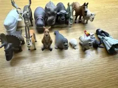 シャクレルプラネット