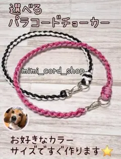 Item thumbnail for item cf6f4f38-9a3a-4758-b50d-8b3a09eaab0b