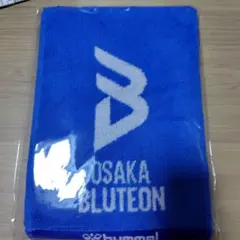2025年最新】大阪ブルテオン タオルの人気アイテム - メルカリ
