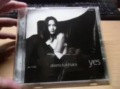 yes - 柿原朱美