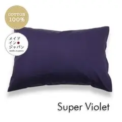 Item thumbnail for item 6636e845-4327-4eef-896f-3dcd619200c0