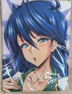 AnimeJapan 2026 桂言葉 抱き枕カバー School Days - メルカリ