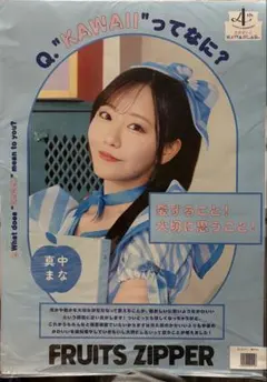 FRUITS ZIPPER 真中まな まなふぃ　カワラボ　ポスターB3