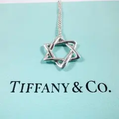 TIFFANY&Co ティファニー ネックレス ダビデ 五芒星 人気 925 銀