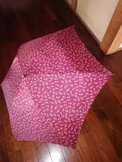 Item thumbnail for item d3f534a9-a885-4cc8-9c76-d26da8eac287