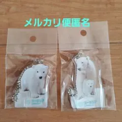 ズーラシア　ホッキョクグマ　ライ　イッちゃん　　　アクリルキーホルダー