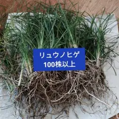 ハナハナ様 リクエスト 4点 まとめ商品