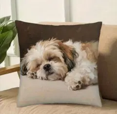 Item thumbnail for item dc15bcdf-be59-4c2c-a7f9-84b56de7ef04