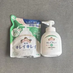 【LION】キレイキレイ 薬用液体ハンドソープのサムネイル