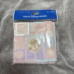 Item thumbnail for item 2436773d-3b77-41e4-a171-ff5c5a60b4bf