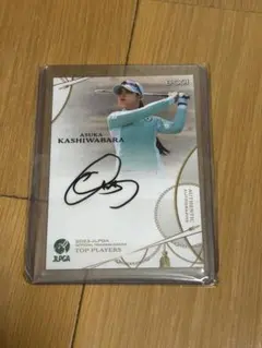 Item thumbnail for item 30d93896-51f8-41f2-8803-40fb5a26a549