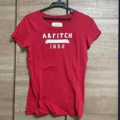 アバクロ　Tシャツ