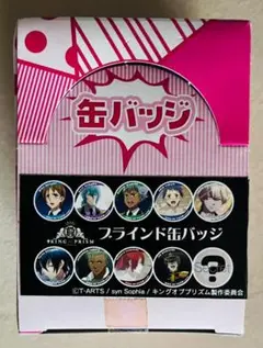 KING OF PRISM by Pretty Rhythm　缶バッジ　BOX