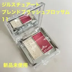 新品未使用！ジルスチュアート ブレンドブラッシュブロッサム　11