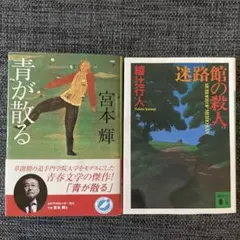 Item thumbnail for item 51d99d54-179a-48ff-98cd-e89d634af724