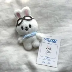 leebit ぬいぐるみ pilot Stray Kids