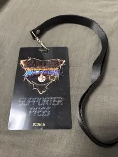 ONE OK ROCK FIELD OF WONDER サポーターパス