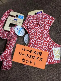 Item thumbnail for item 85962d65-763a-47c4-90ff-794a735b3486