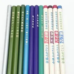 【非売品/コレクター向】学校 企業 団体 ノベルティ 記念鉛筆 12本セット