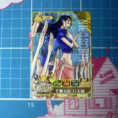 百花繚乱”大飛燕草”／ロビン[SR／W6弾] ワンピーベリーマッチダブル ②