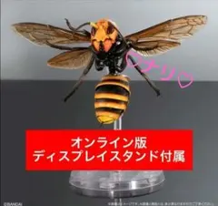 オンライン版　オオスズメバチ　いきもの大図鑑アドバンス　スズメバチ02　昆虫