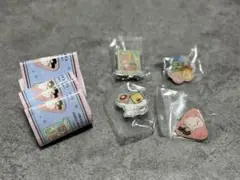 サンリオキャラクター ピンバッジ ガチャ　愛知限定　カプセルトイ　ご当地