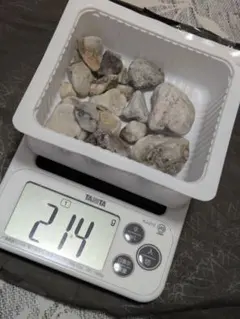 静岡県 銀黒 200g超