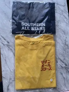 佐野元春 「SAVE IT FOR A SUNNYDAY 」Tシャツ Sサイズ - メルカリ
