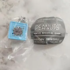PEANUTS ビスケットミニチャーム エンボス缶　チョコチップ