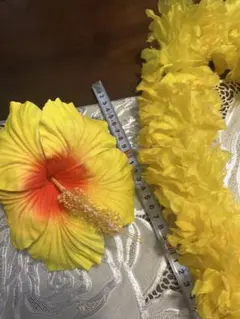 ハイビスカスピックとイエローレイ