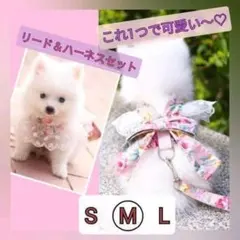 Item thumbnail for item e655944a-ef66-474a-a7ad-aee2d4719bef