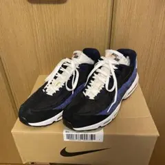 size30cm NIKE airmax 95 SE 降谷建志 KJ着用モデル
