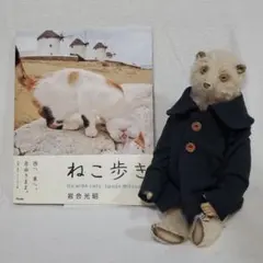ねこ歩き 岩合光昭 写真集