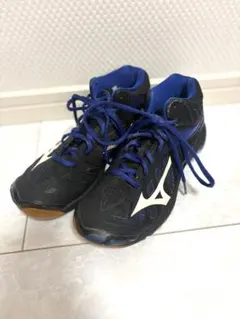 Mizuno Wave Lightning Z バレーボールシューズ