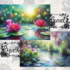 Kanon様 リクエスト 3点 まとめ商品