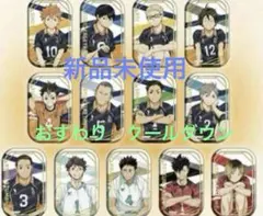 クールダウン　おすわりセット　ハイキュー スクエア缶バッジ セブンネット限定