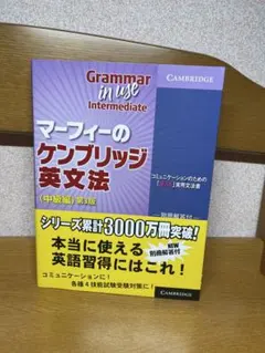 Grammar in Use Intermediate 第3版11.24
