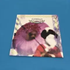 ASPARAGUS 会場限定umbrella