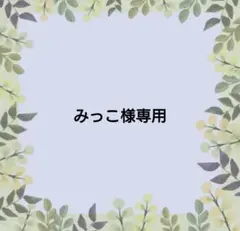 【みっこ様専用】