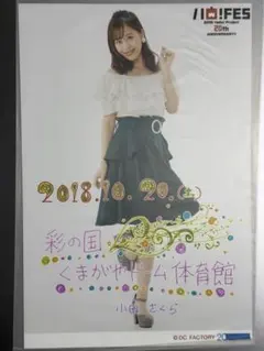 【美品】ハロ!FES 2018 日替わりA5ワイドサイズ生写真 小田さくら