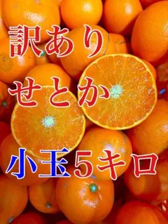 木成り完熟⭐️小玉10キロ　特選訳あり 訳あり小玉せとか5キロ - メルカリ