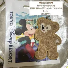 東京ディズニーシー　ワッペンキーホルダー　バッチ　ダッフィーフレンズ