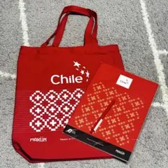 2025年最新】チリパビリオンの人気アイテム - メルカリ