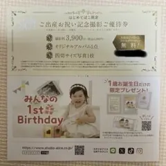 スタジオアリス　株主優待券 2枚組（有効期限：2026/2/28） 2026年最新】Yahoo!オークション -スタジオアリス株主優待券(優待券
