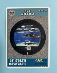 Item thumbnail for item cbc31ac2-a447-4615-ba1e-c1cc45925127