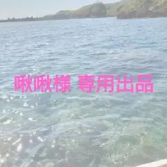 啾啾様 専用出品