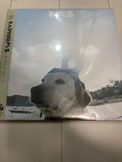 RADWIMPS 05410 - (ん) LPレコード - メルカリ